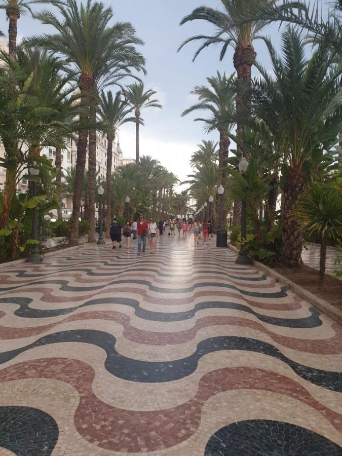Martas * La Mata (Torrevieja)